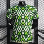 Maillot Match Nigeria Green I 2022/2023